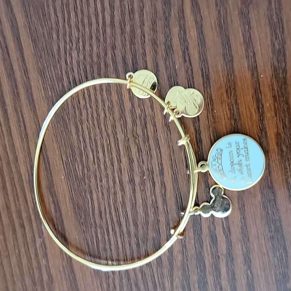 Alex & Ani Cinderella Bracelet - A Dream is a Wish Your Heart Makes ❤️